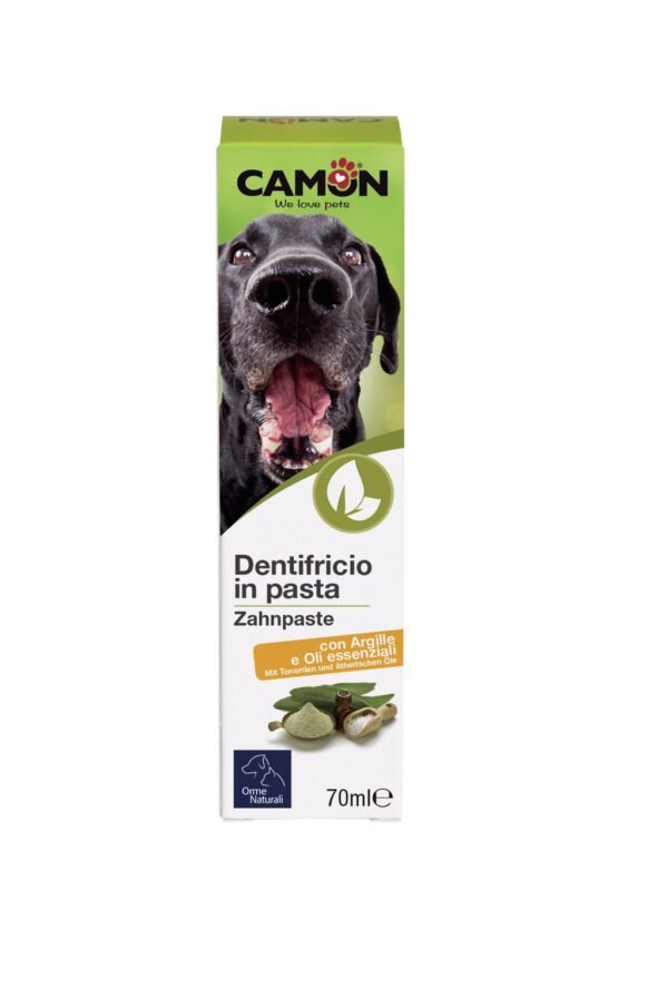 Camon Dentifricio In Pasta